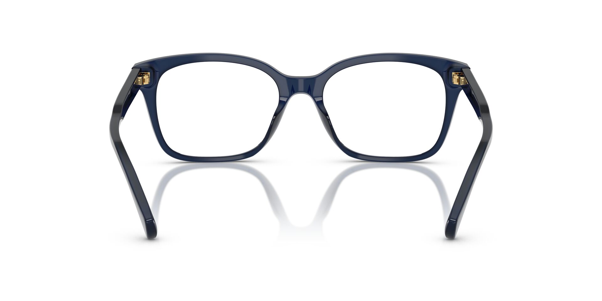 RALPH OPTICO 0RA7174U