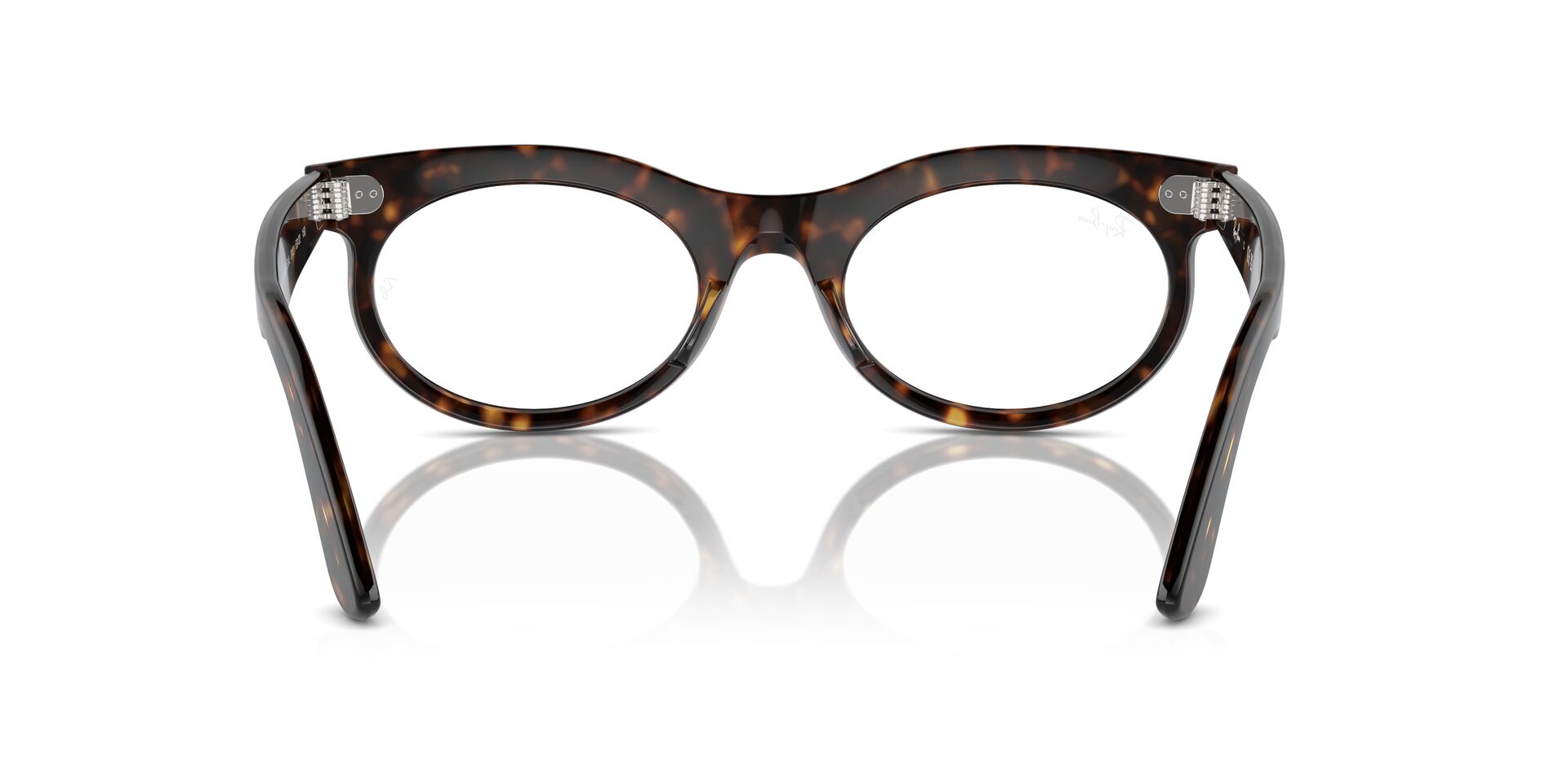 RAY-BAN ÓPTICA OVALADA WAYFARER