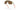 Lentes de sol Oakley BXTR 0OO9280