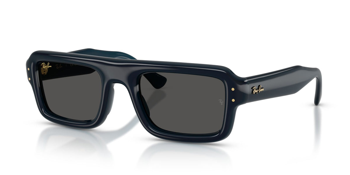Lentes de Sol Ray-Ban Flacko Puffer 0RB4954