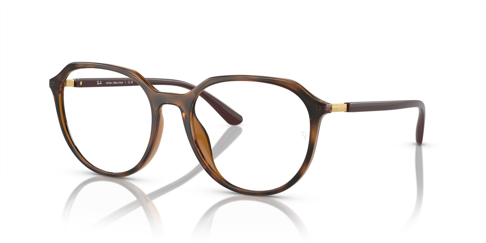 RAYBAN THALIA