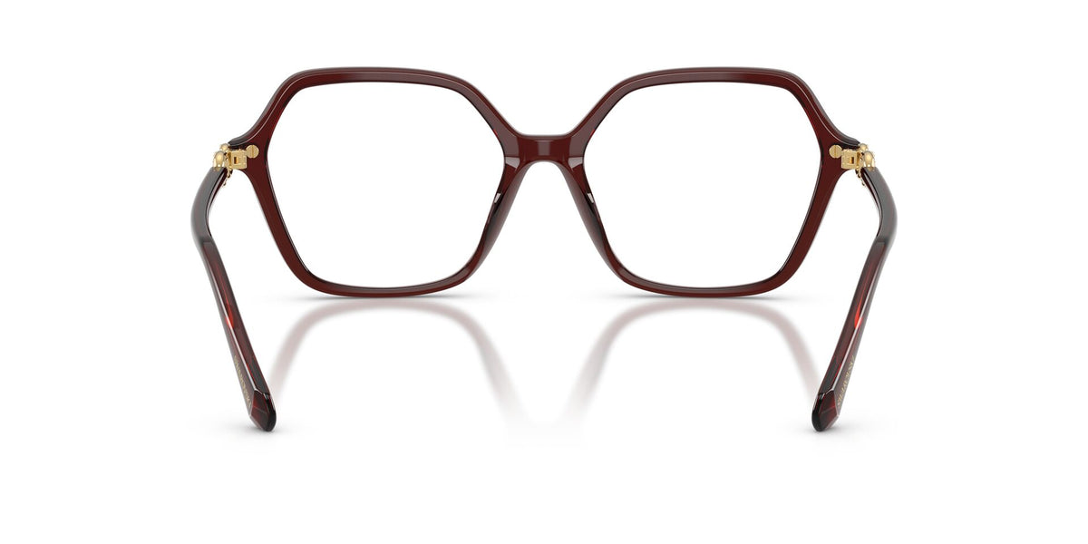 Lentes Ópticos Swarovski 0SK2075 Burdeo transparente – vista posterior