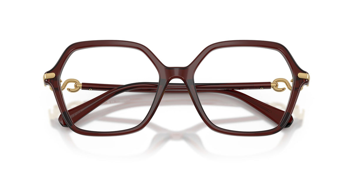 Lentes Ópticos Swarovski 0SK2075 Burdeo transparente – vista frontal cerrado