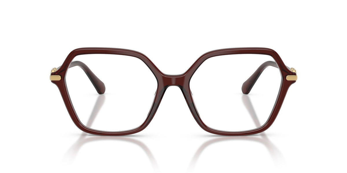 Lentes Ópticos Swarovski 0SK2075 Burdeo transparente – vista frontal